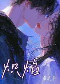 炽焰网络什么意思