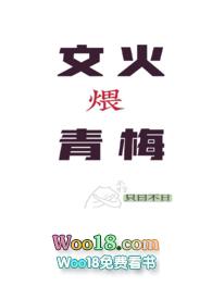 文火慢炖什么意思