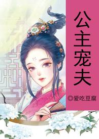 公主宠夫by爱吃豆腐