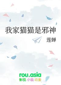 我家猫猫是沙雕