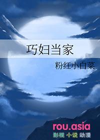 巧女巧当家