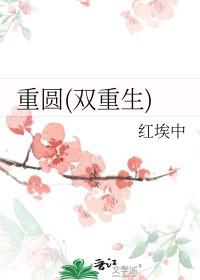 重圆(双重生)书评