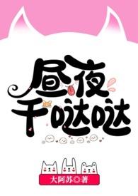 昼夜日本电影讲的什么意思