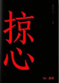 掠心by盈春TXT