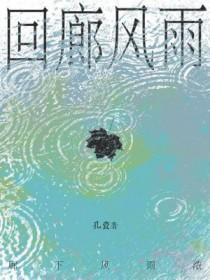 回廊风雨孔瓷笔趣阁