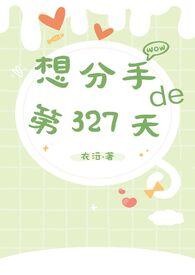 想分手的第327天by衣沄