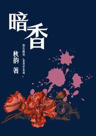 暗香(舅甥lvlH)