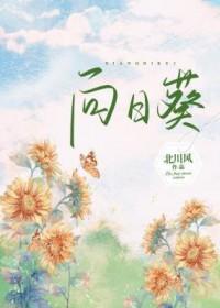 向日葵1月15日收盘跌停