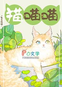 如果捡到流浪猫该怎么办
