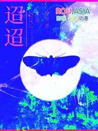 迢迢有礼