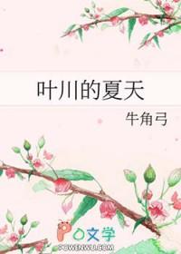叶川的夏天在线阅读