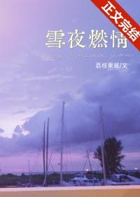 雪夜燃情TXT