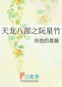 天龙八部阮星竹饰演者