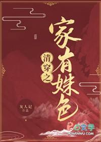 清穿之淑