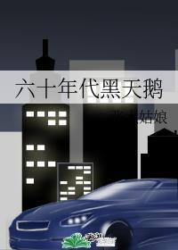60年代的黑天鹅