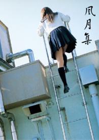 风月集免费观看电视剧