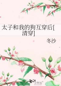 红楼清穿太子宠妻日常