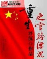 重生之官路浮沉凌寒的女人们