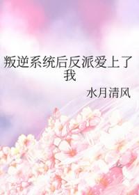 反叛系统就不闹天宫