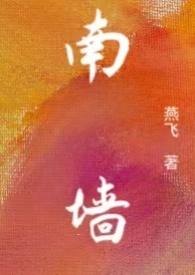 南墙是什么意思