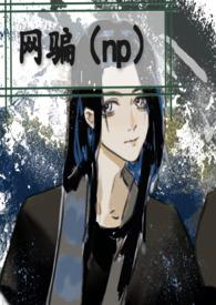 网骗NP