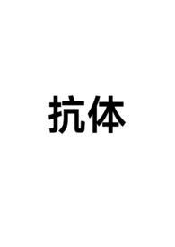 抗体是啥意思