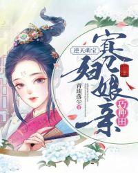 寡妇再嫁得种田文
