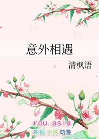 意外相遇清枫语txt