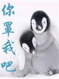 你罩我吧全文阅读