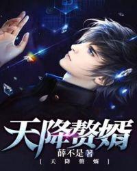 天降神婿text