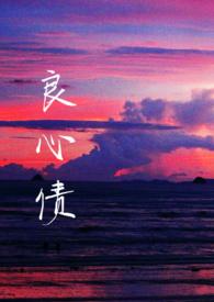 良心债1-100集免费观看