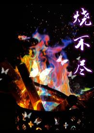 烧不尽语录