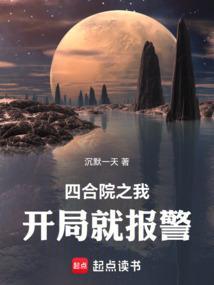 四合院开局警察