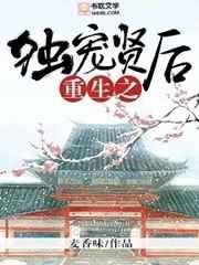 重生之独宠贤后免费阅读