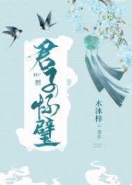 君子怀璧笔趣阁