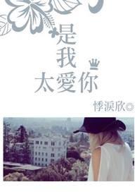 是我太过的爱你
