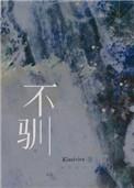 不驯之敌晋江
