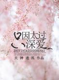 只因太过深爱免费阅读