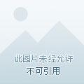 全民领主我的亡灵骷髅亿亿万动漫