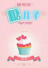 糖二代(娱乐圈) 作者莫里