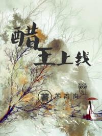 醋王上线十二