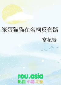 笨蛋笨蛋