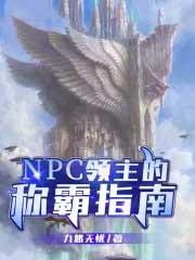 领主什么