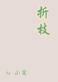 作者折枝的