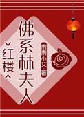 红楼佛系林夫人txt
