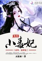 放肆宠灵夜雨