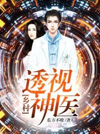 乡村透视神医书旗网