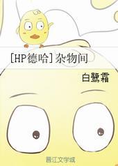 HP德哈杂物间