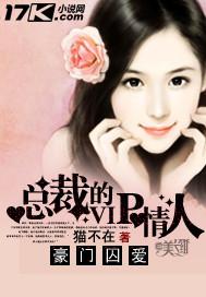 总裁的锁情小妻 忆如冰