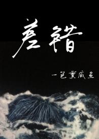 差错兄妹文